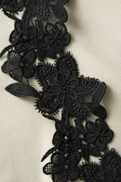 MICAS Midi Dresses-Asymmetric Lace Panel Midi Dress BEIGE