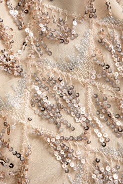 MICAS Mini Dresses-Backless Fringe Sequin Mini Dress CHAMPAGNE BEIGE