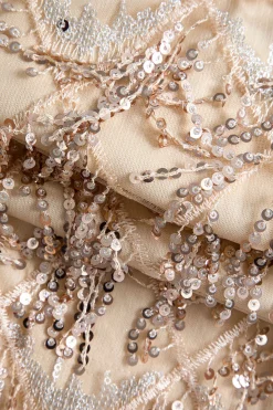 MICAS Mini Dresses-Backless Fringe Sequin Mini Dress CHAMPAGNE BEIGE