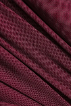 MICAS Long Sleeve Dresses|Maxi Dresses-Mesh Ruffle Long Sleeve Maxi Dress BURGUNDY