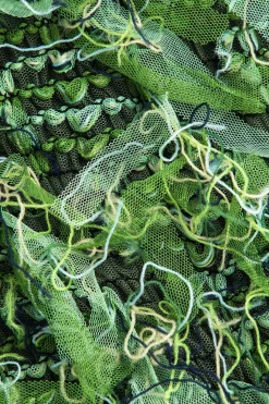 MICAS Midi Dresses-Solid Fringe Backless Midi Dress Contrast Color